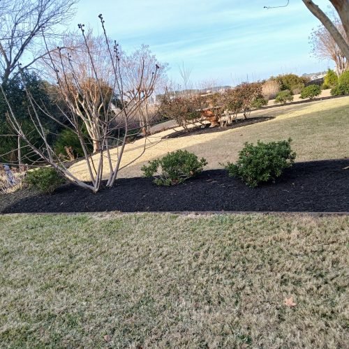 482229024_122218296860208097_614038420445337763_n