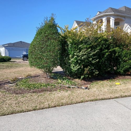 494108960_122233082594208097_2836376689423410818_n