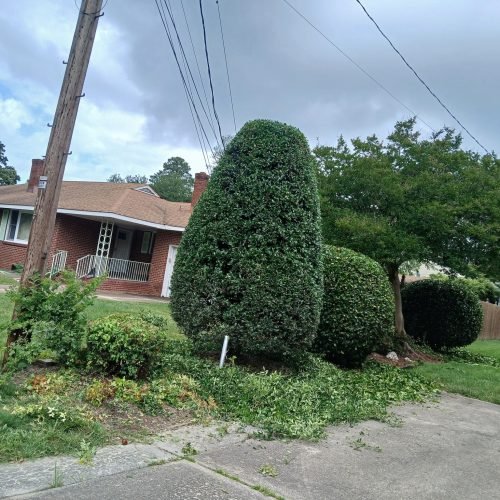 494210656_122237234816208097_2420096447869579234_n