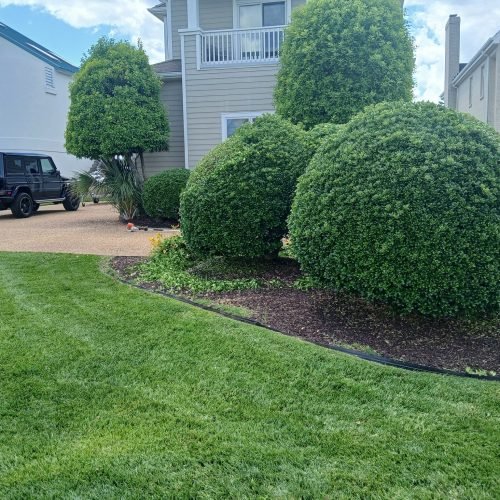 494552075_122235566858208097_2706053650645604428_n