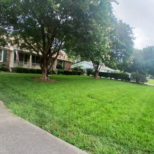 499516557_122237234840208097_9217581890819154204_n