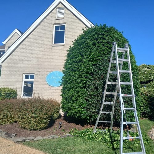 500741569_122235566804208097_8660742487153658519_n