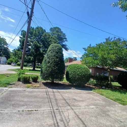 502452649_122237234972208097_8887432655689687831_n