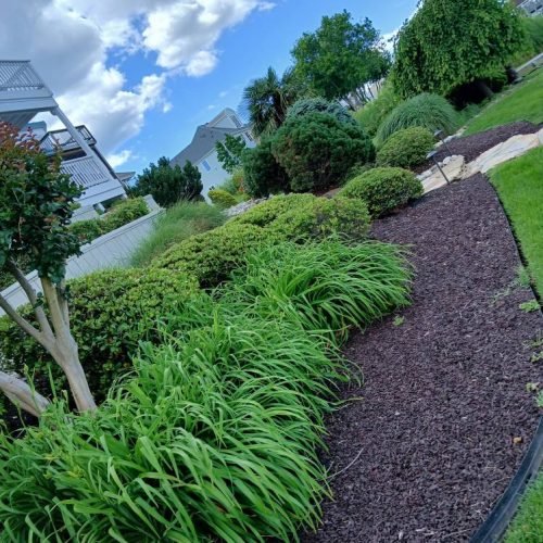 502528710_122235566360208097_7473456349872026416_n