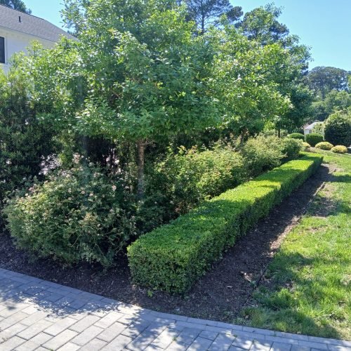 503564395_122236485044208097_777798029460060149_n