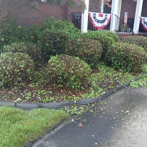 545582717_122254881170208097_5466543158734306787_n