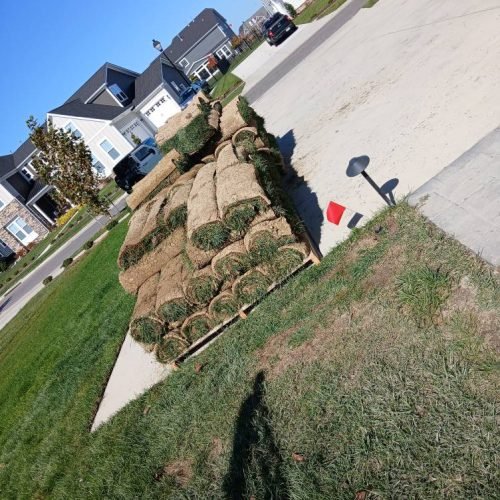 554274466_122257296872208097_463489767154949214_n