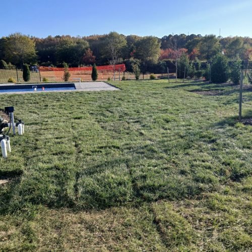 554797886_122257297262208097_6606720848300610177_n