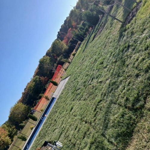 555043537_122257297016208097_3051613687408133323_n