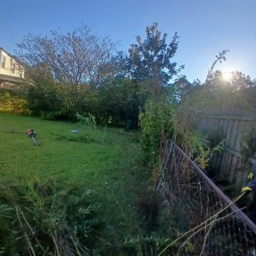 589579352_122267004782208097_6118261761355688674_n