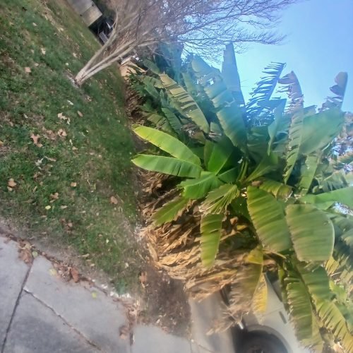 593298220_122268203468208097_3167153532607559560_n