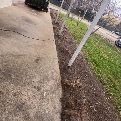 593367850_122268203594208097_6205665757173305351_n