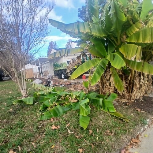 593418644_122268203618208097_7076334346594611196_n