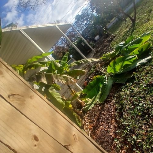 594040473_122268203558208097_1954068521799405832_n