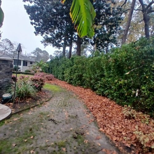 595168423_122268928802208097_8513569949629436043_n