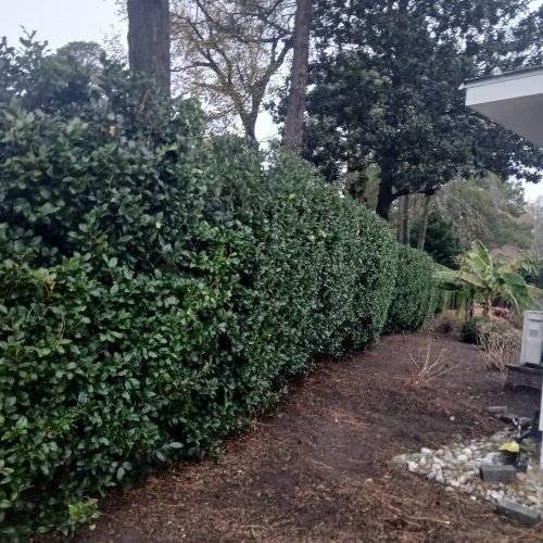 595928293_122268929126208097_2473793963901448318_n