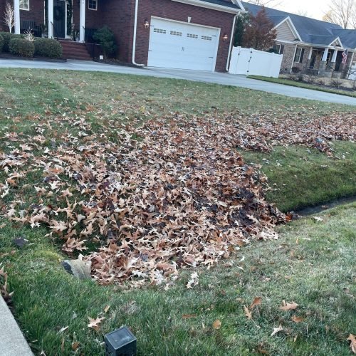 603835398_122271205220208097_6734585610185105410_n