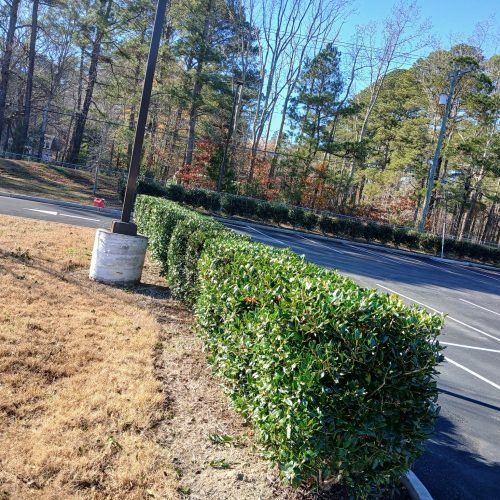 605116640_122271536642208097_3898632741679916932_n